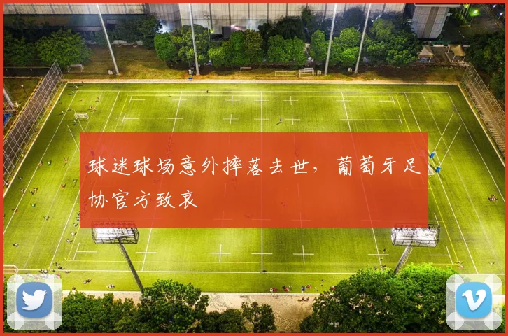 球迷球场意外摔落去世,葡萄牙足协官方致哀