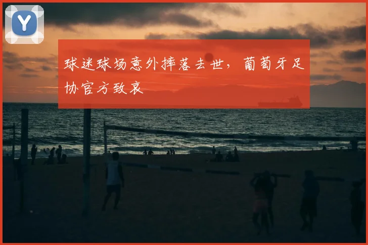 球迷球场意外摔落去世,葡萄牙足协官方致哀